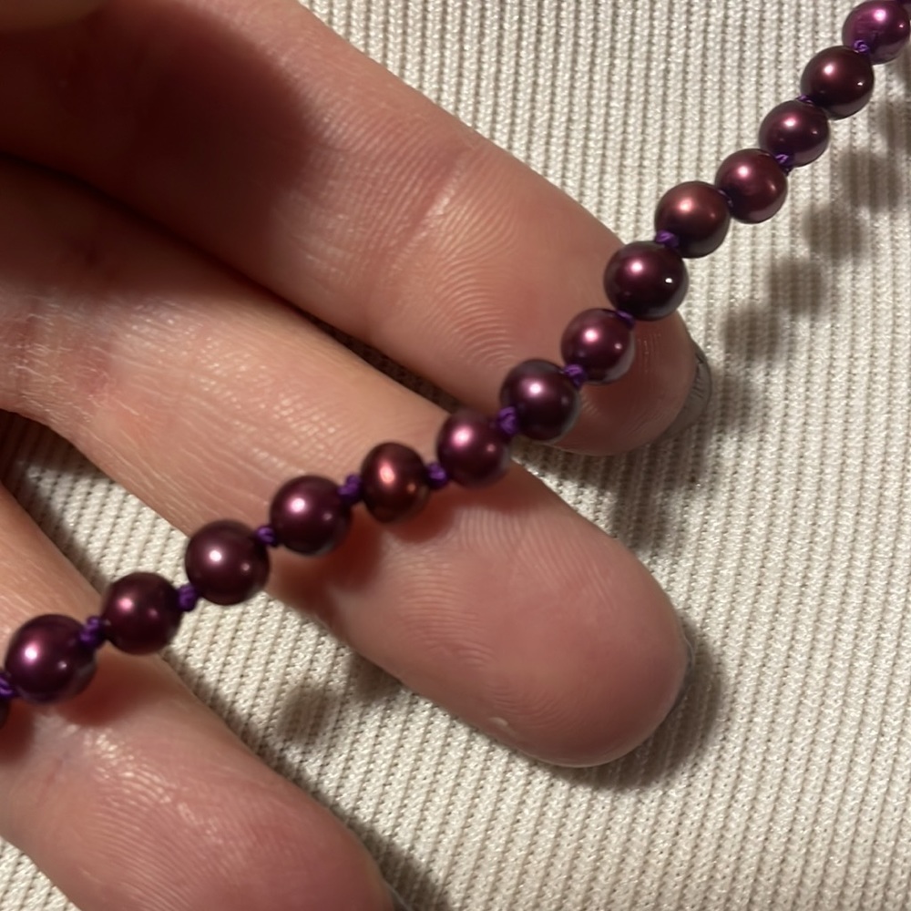 Magenta sand dollar set - Picture 7 of 8